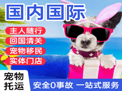 贵阳空运国际宠物托运 【国